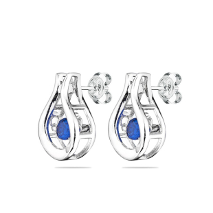 Silver Earrings with blue stones END734E Swan