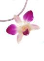 Colier cu orchidee naturala si lant din matase model 13 Dannyra Jewels